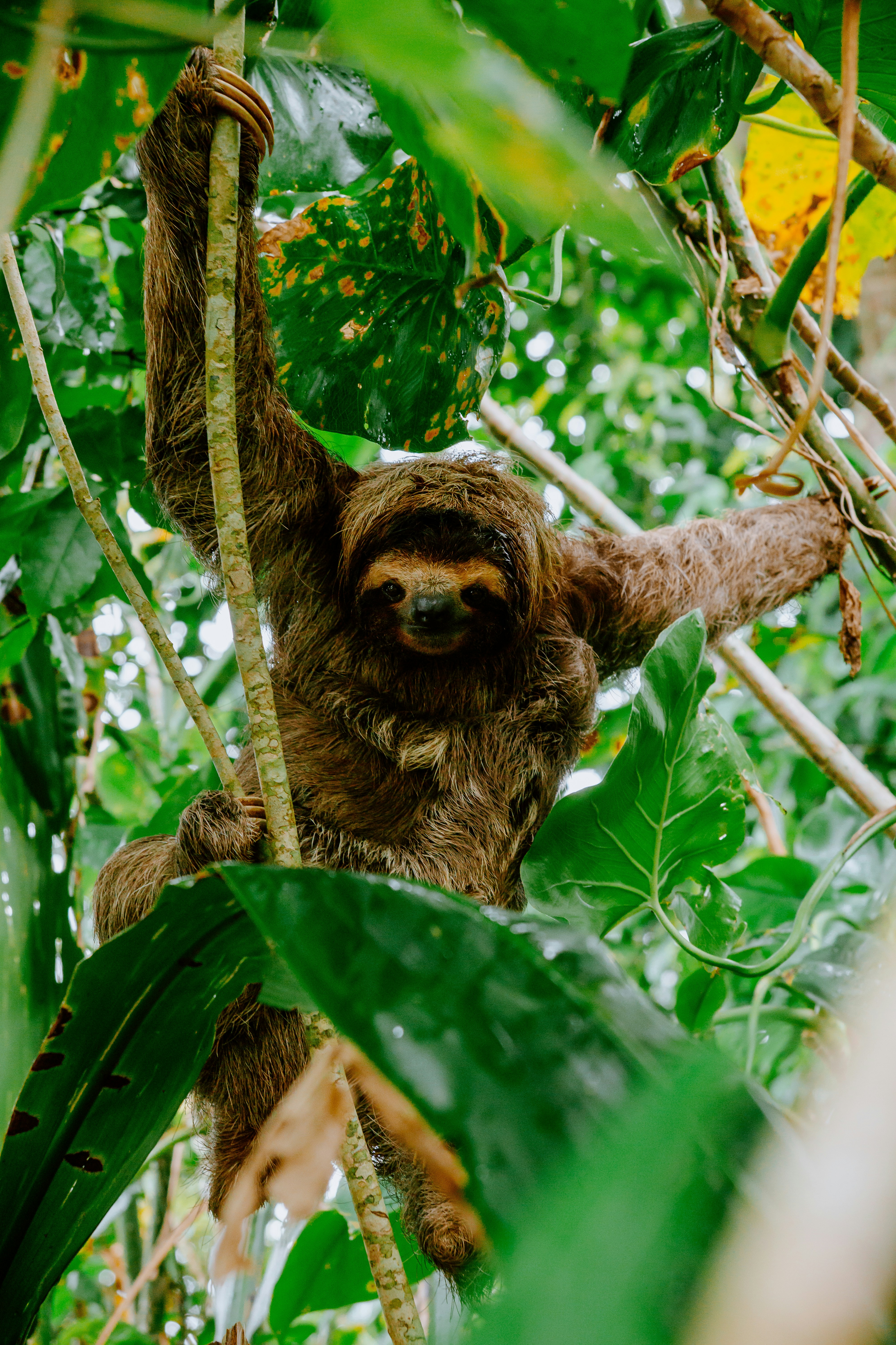 Paisaje de Costa Rica 2